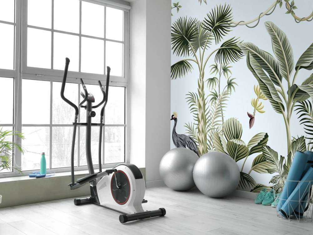 Tropische kraanvogels