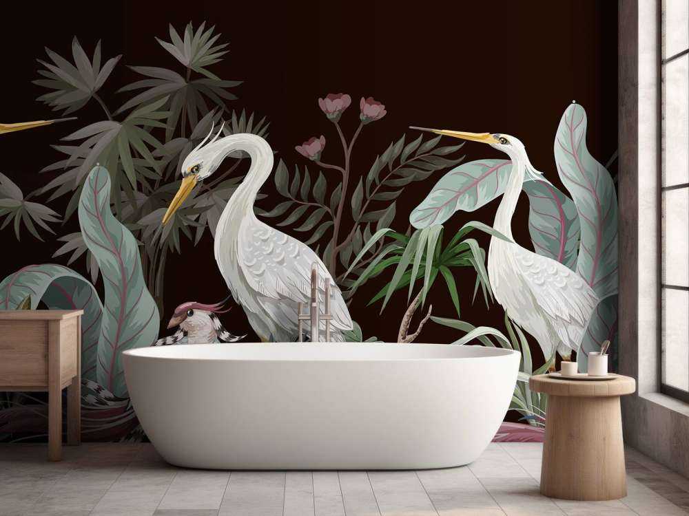 Sierlijke kraanvogels