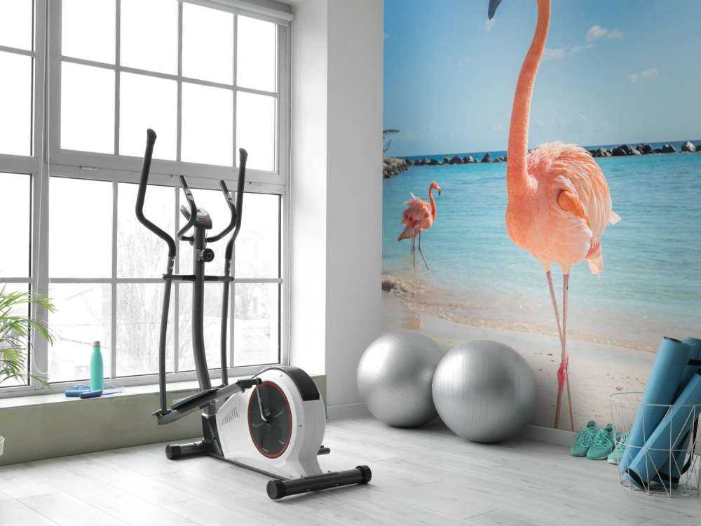 Flamingo op het strand