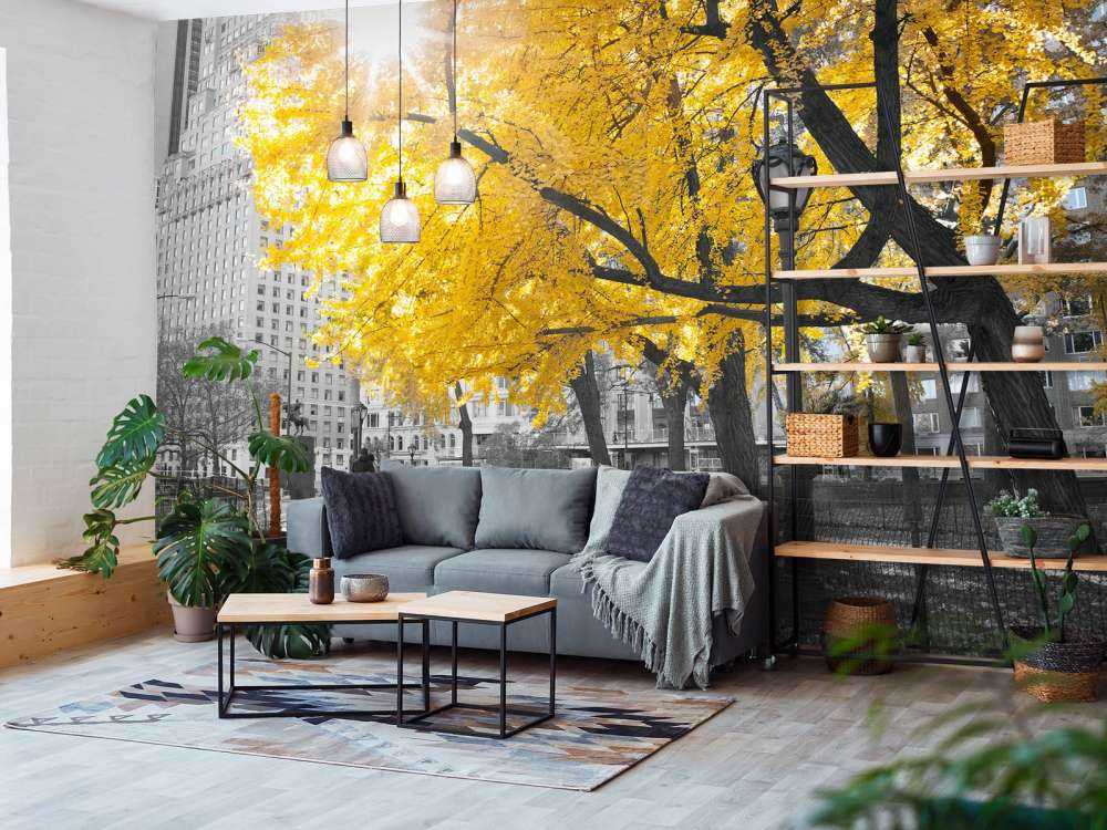 Een pad door Central park
