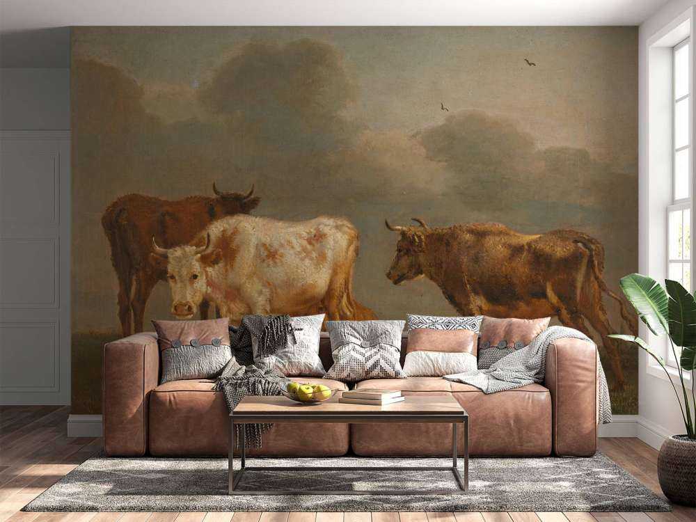 Vier jonge stieren in de wei