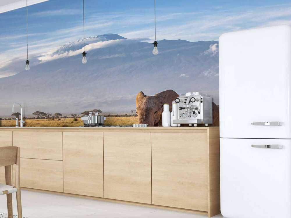 Afrikaanse olifant in een grasland