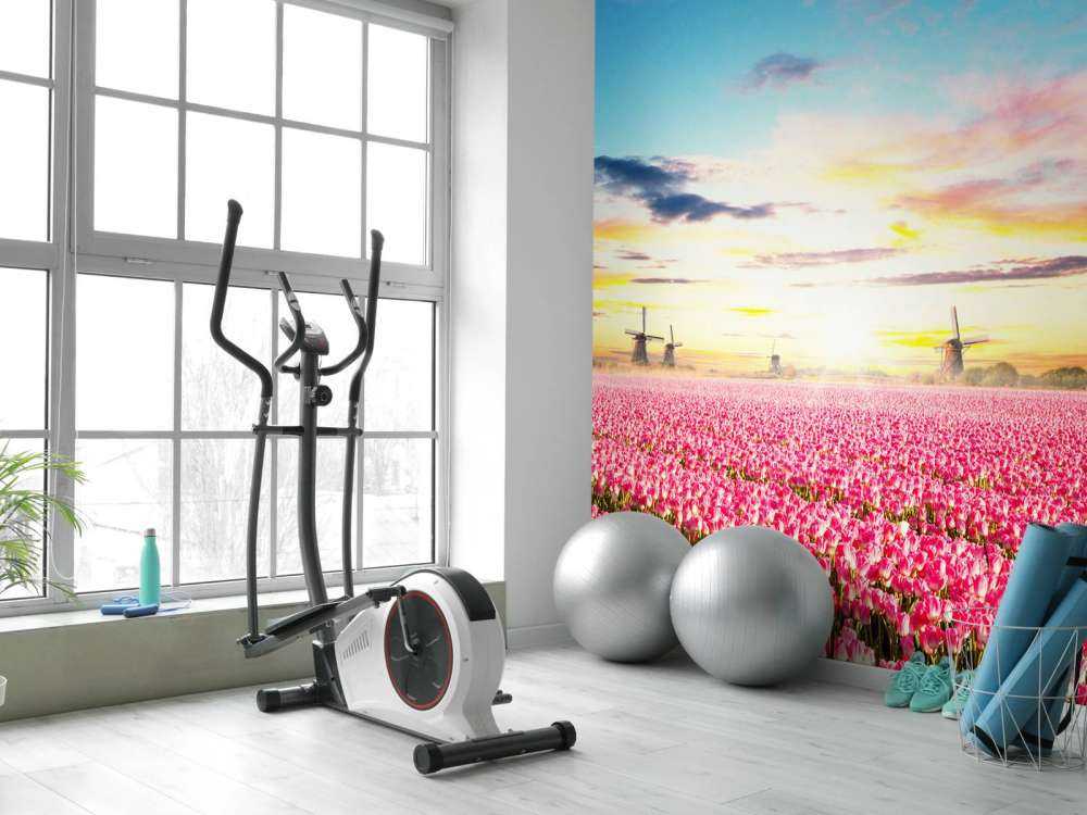 Hollands roze tulpenveld