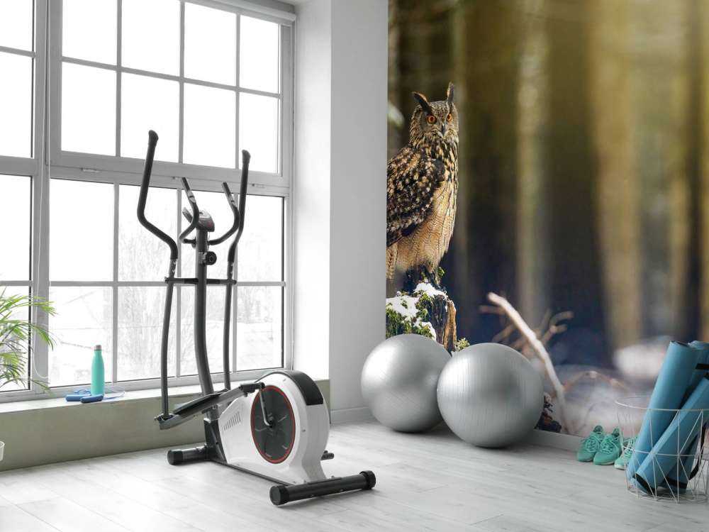 Uil in een sneeuwig bos