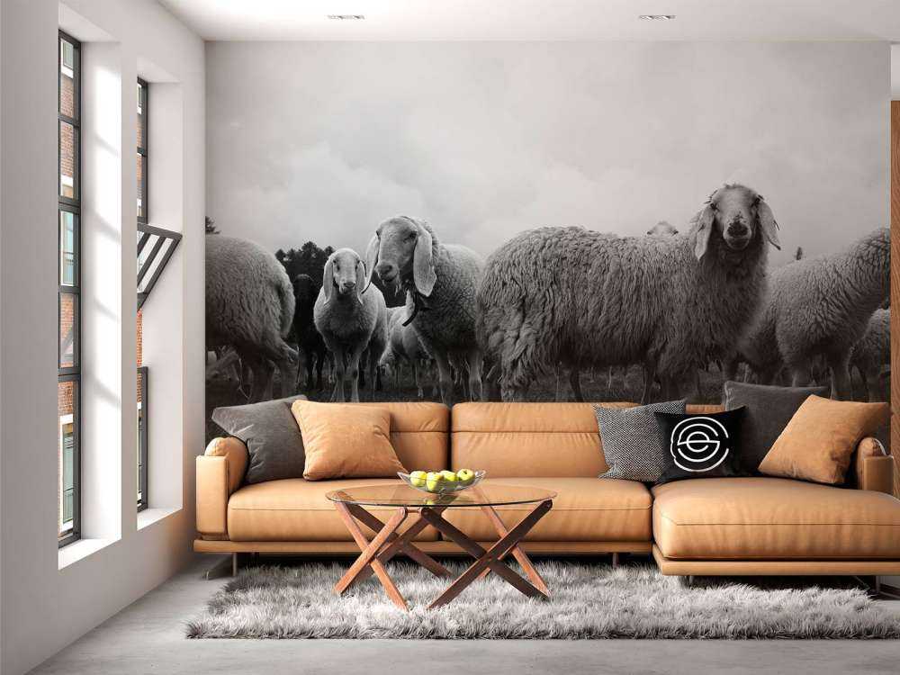 Kudde schapen in zwart-wit