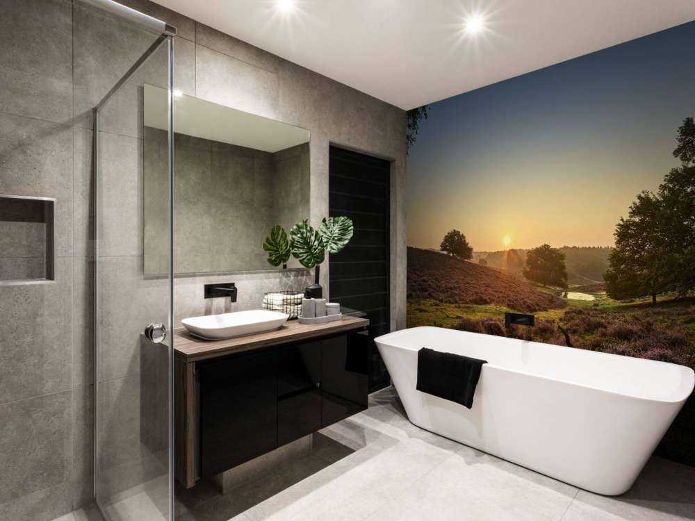 Waterplas op de heide