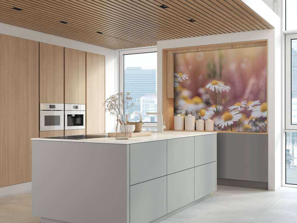 Veld vol Madeliefjes