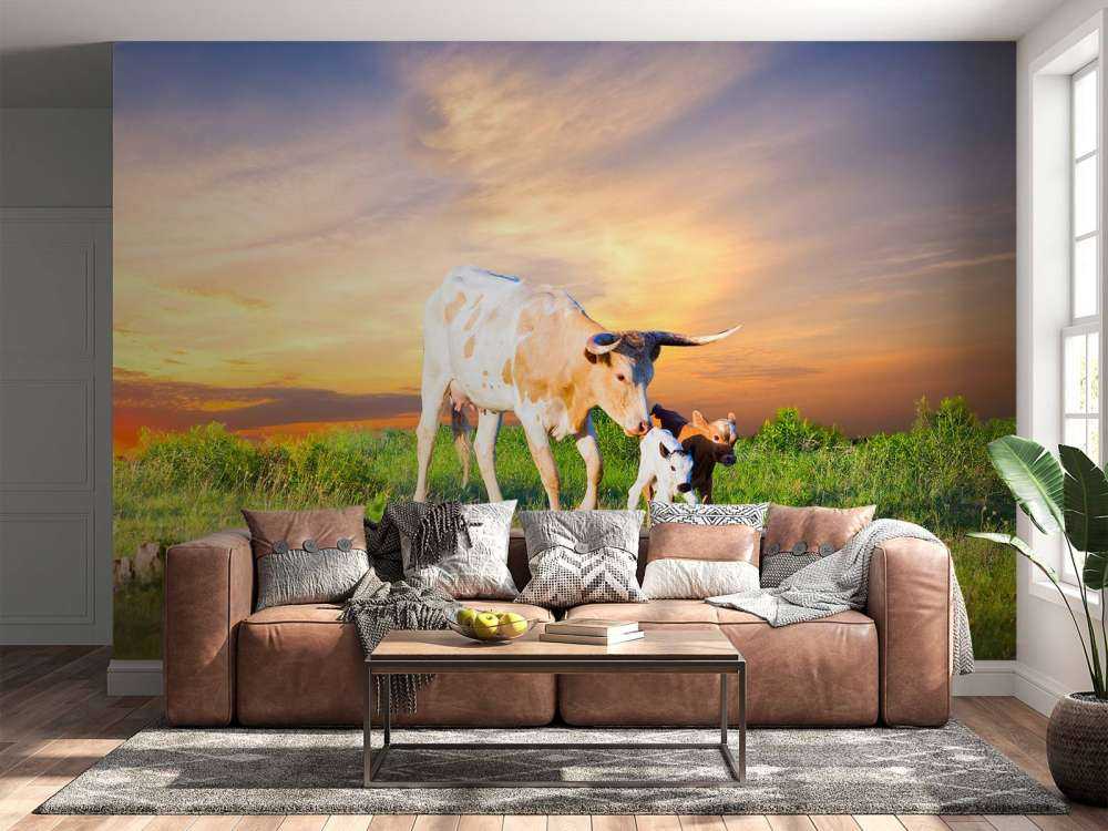 Koe en Kalf zonsondergang