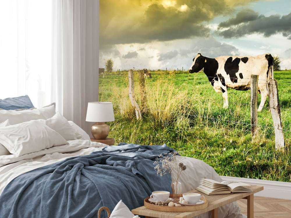 Koe tijdens zonsondergang