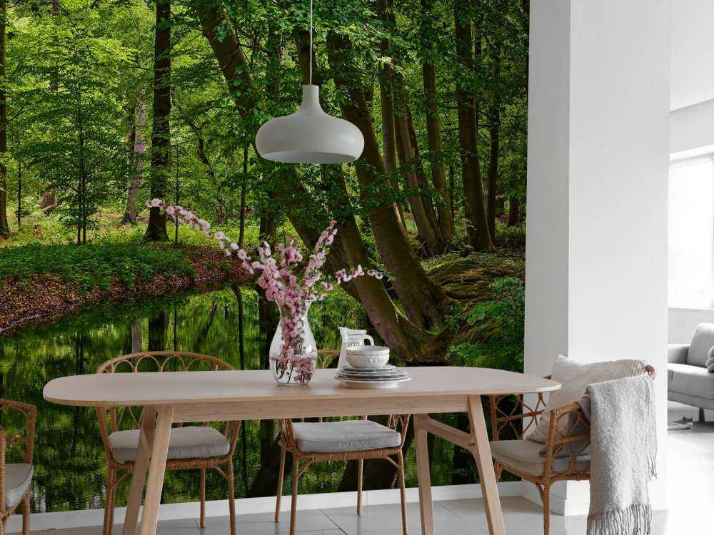 Gebogen bomen aan het water