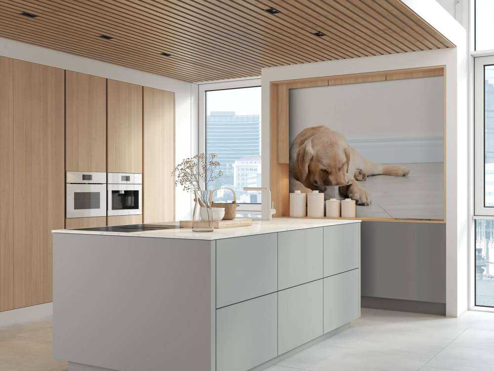 Schattige labrador is aan het eten