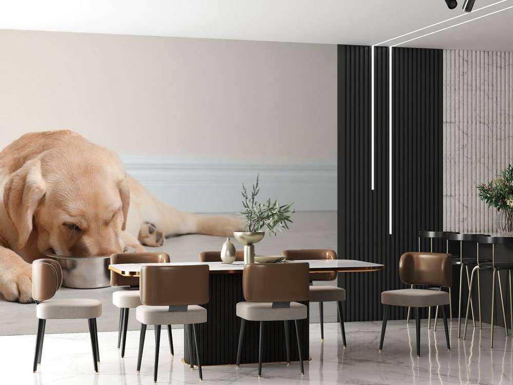 Schattige labrador is aan het eten