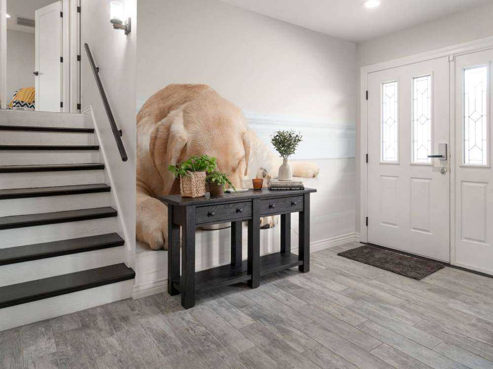 Schattige labrador is aan het eten