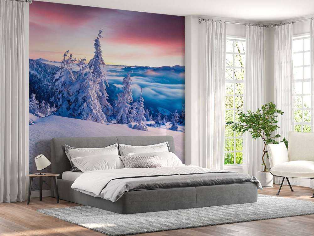 De Karpaten in de winter