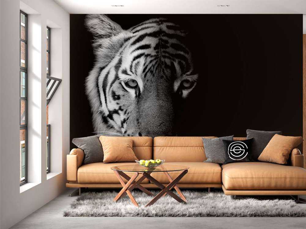 Tijger op zwarte achtergrond