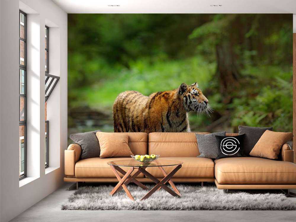 Tijger in Russische natuur