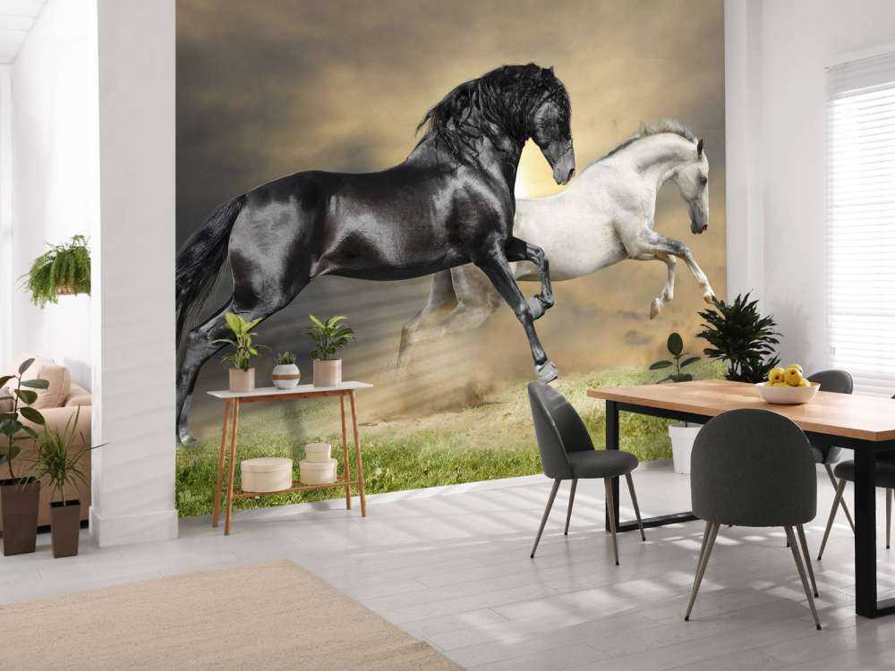 Zwart & Wit Paard op Gras