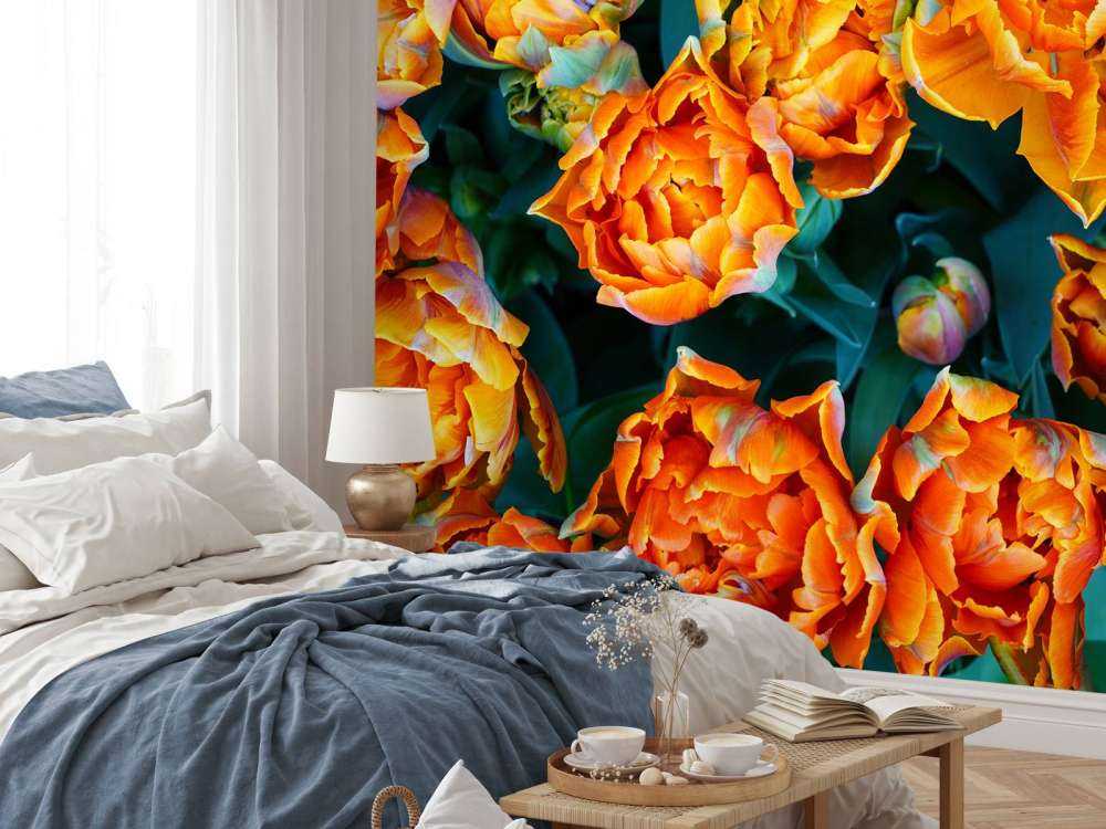 Close-up oranje tulpen