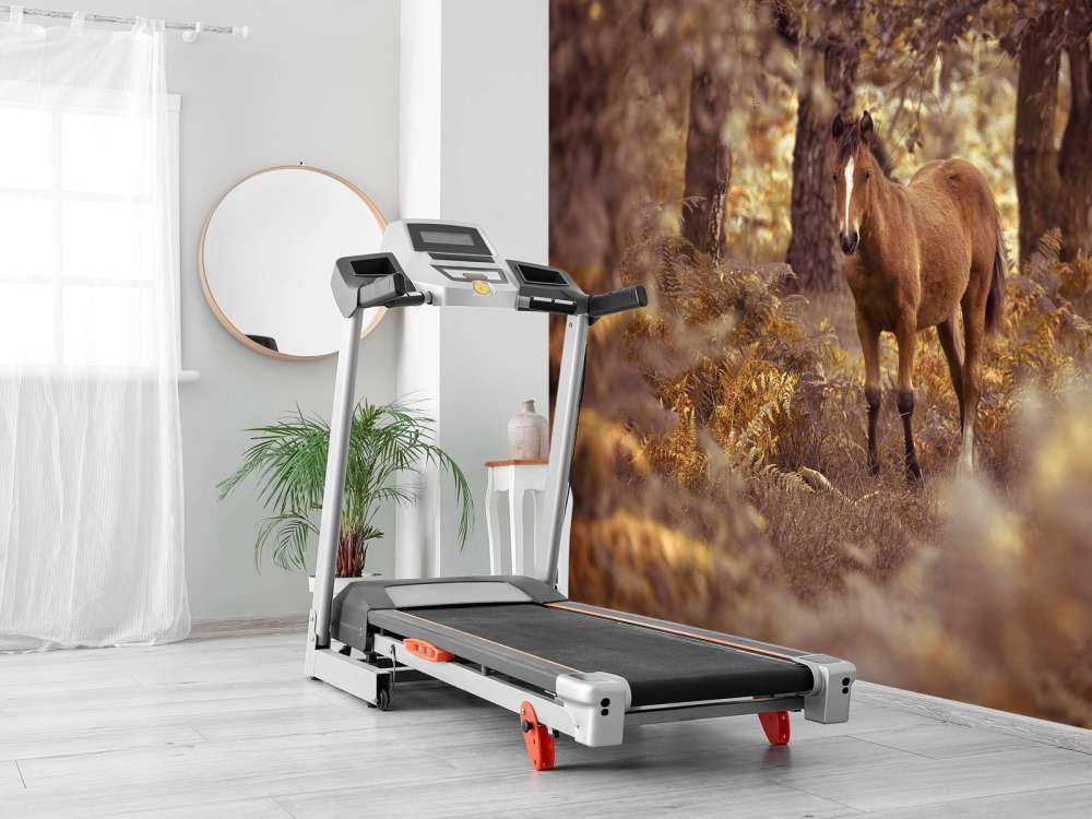 Paard in de wildernis