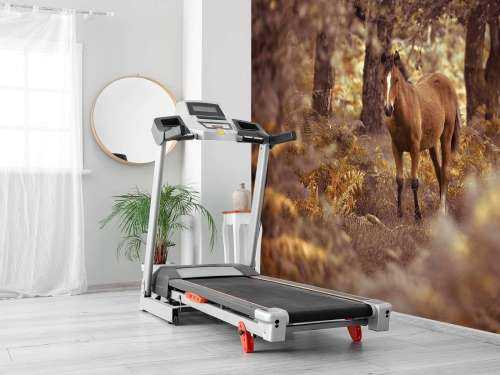 Paard in de wildernis