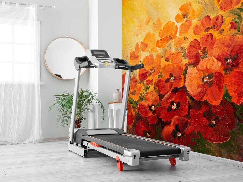 Olieverfschilderij van klaprozen