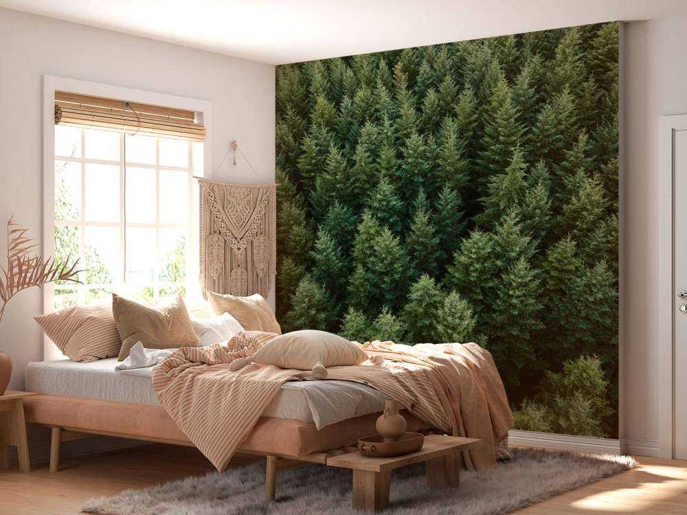 Douglassparren van boven