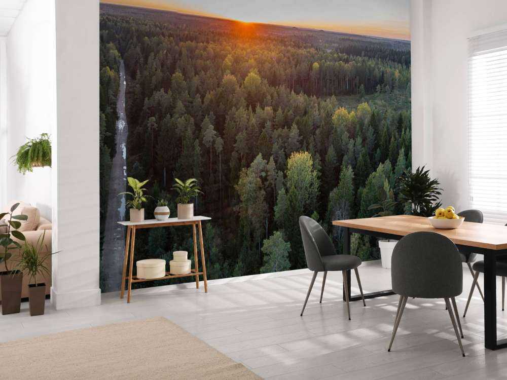 Luchtfoto van herfstbomen