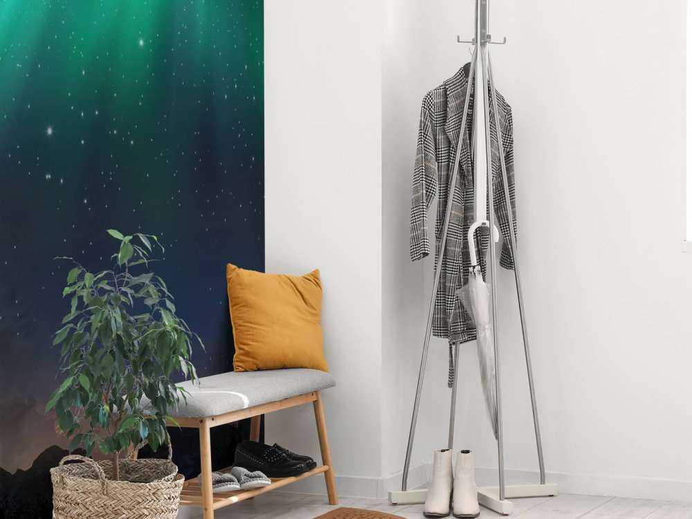 Noorderlicht met sterrenhemel