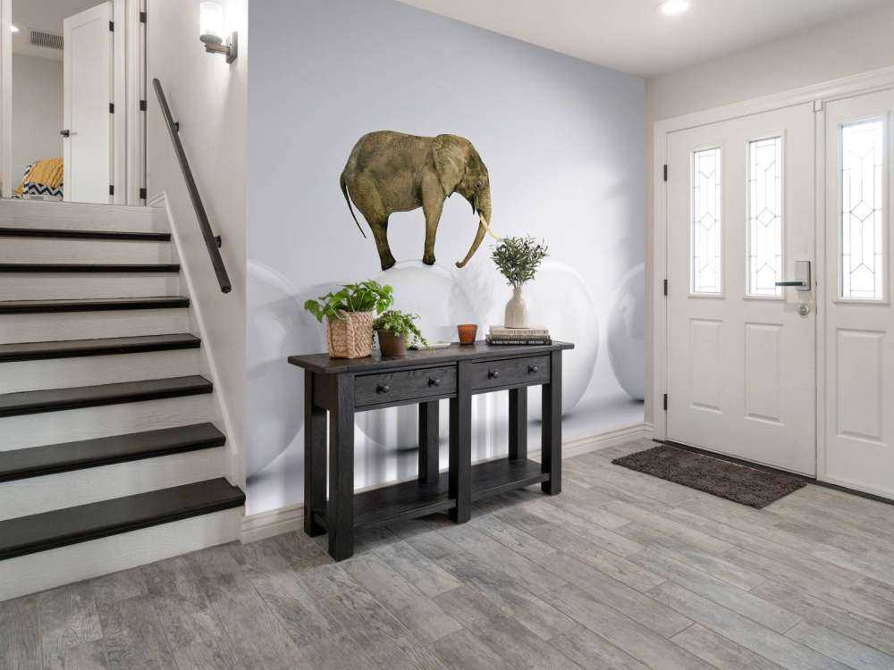 Olifant op een witte bal