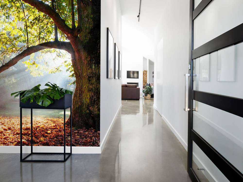 Mooie Eik in het Bos