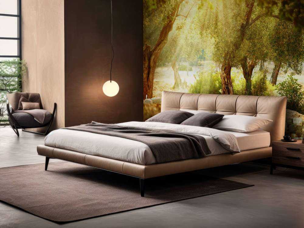 Mediterrane Olijven Boomgaard