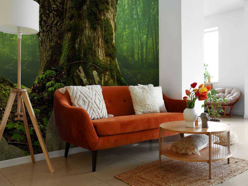 Oude Boom met Rotsen