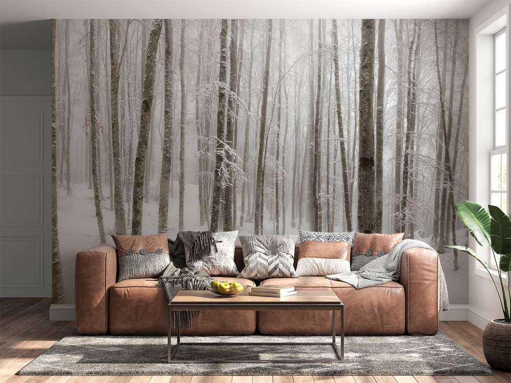 Beukenbos met sneeuw