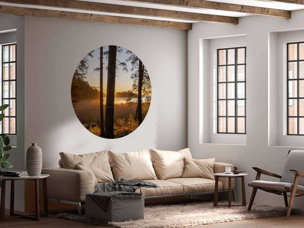 Bos tijdens zonsondergang