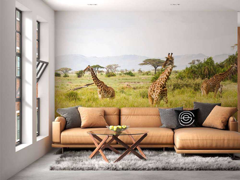 Giraffen in Tanzania