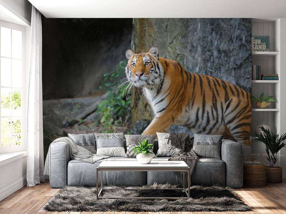 Een grote Sumatraanse tijger