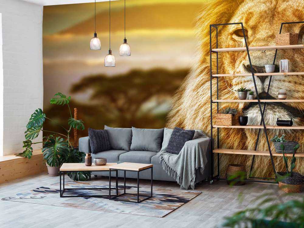 Leeuw in een savanne landschap