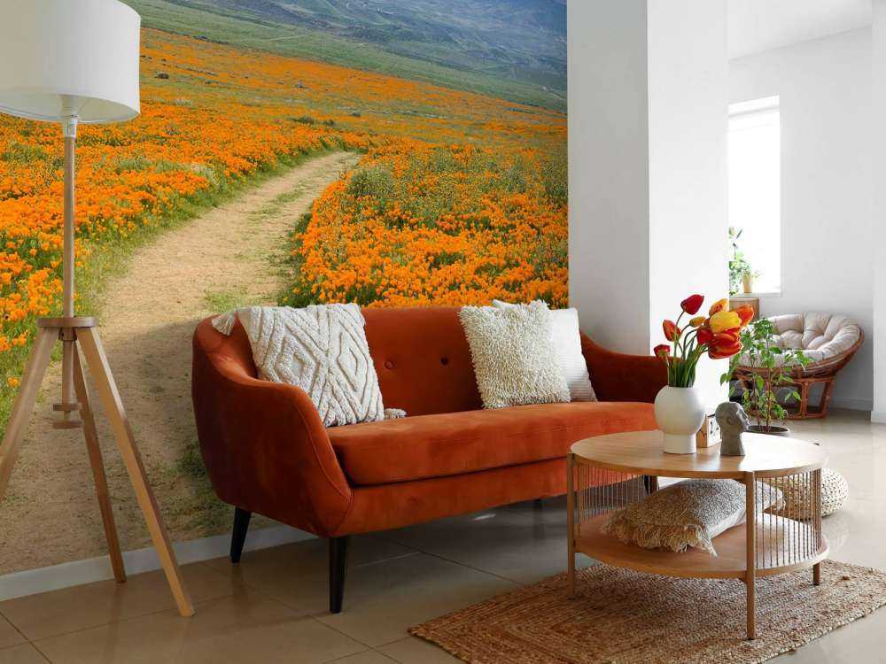 Oranje klaprozenveld in Californië