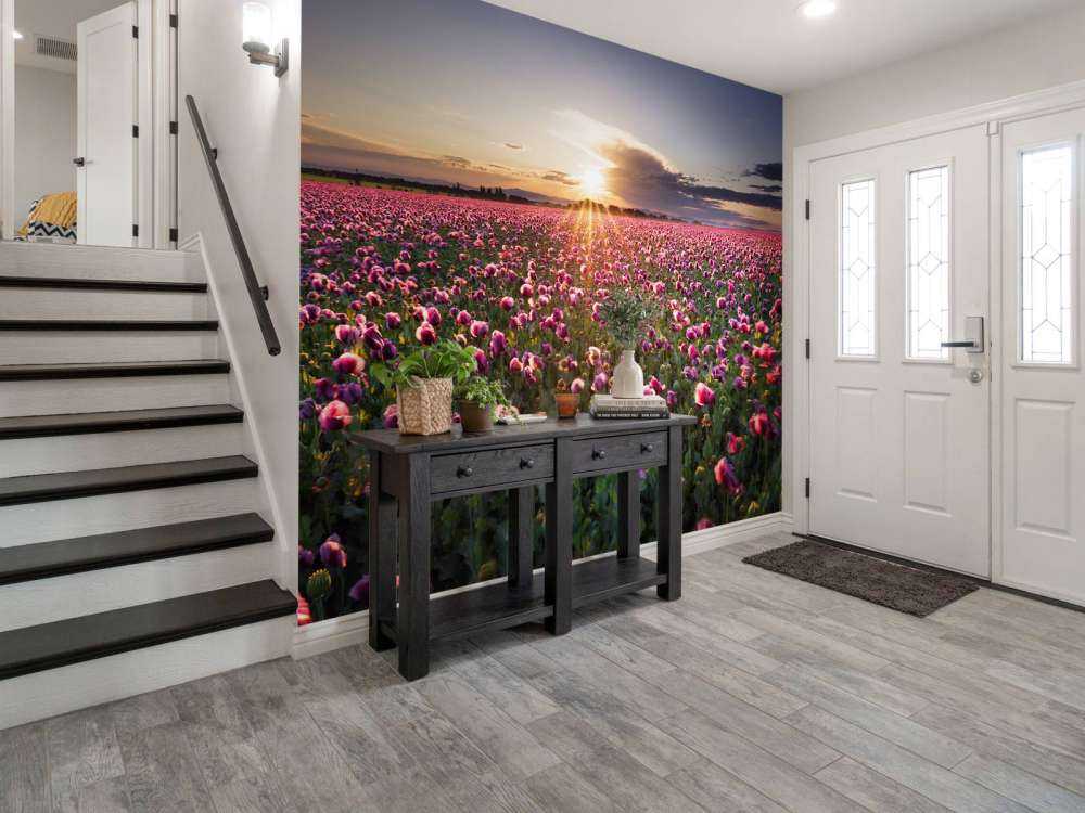 Roze klaprozenveld bij zonsondergang