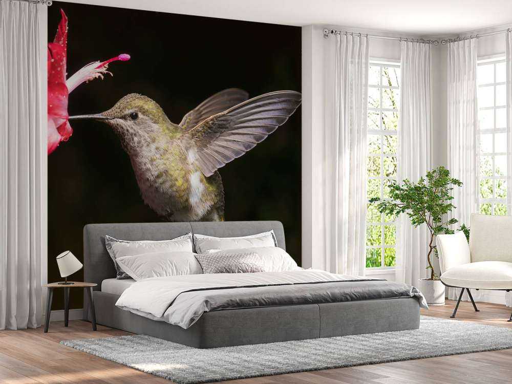 Kolibrie met rode bloem