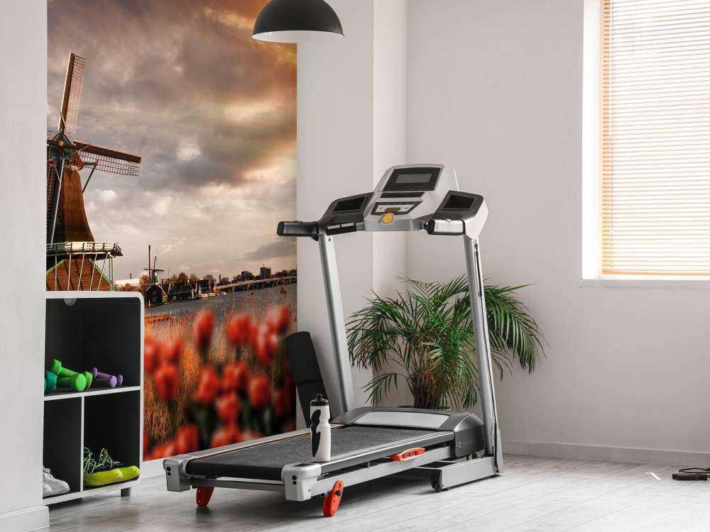 Hollands landschap met molen bij zonsondergang