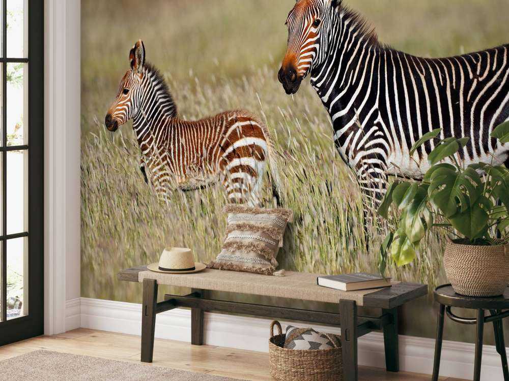 Kaapse bergzebra met een veulentje