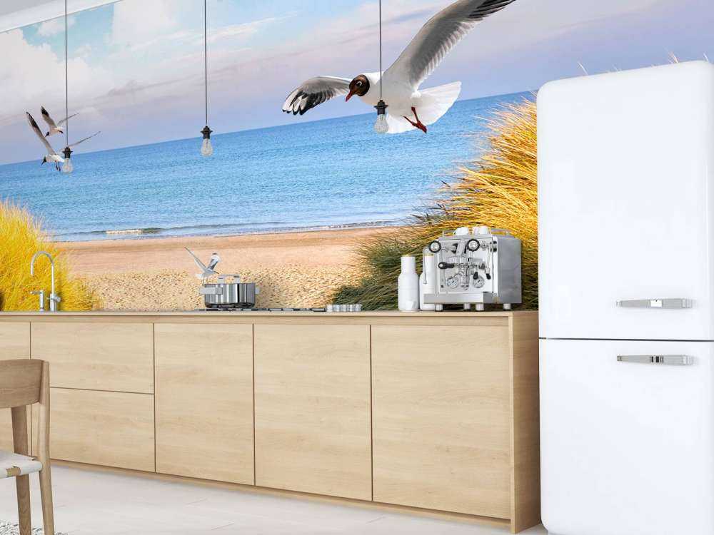 Meeuwen langs de Baltische kust