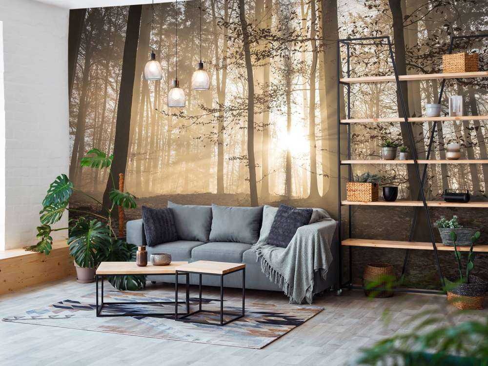 Zonnestralen in een mistig bos