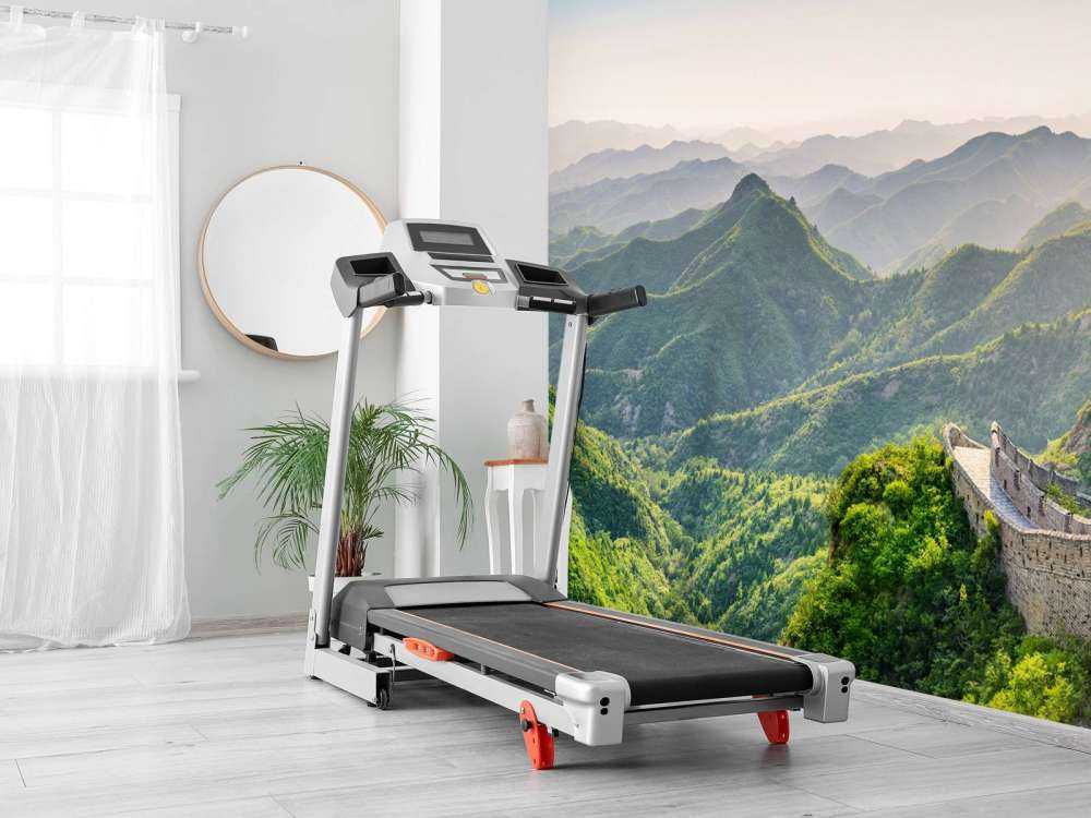 Chinese muur