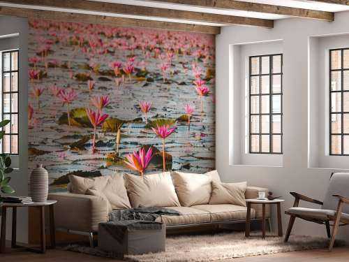 Zee van lotus bloemen