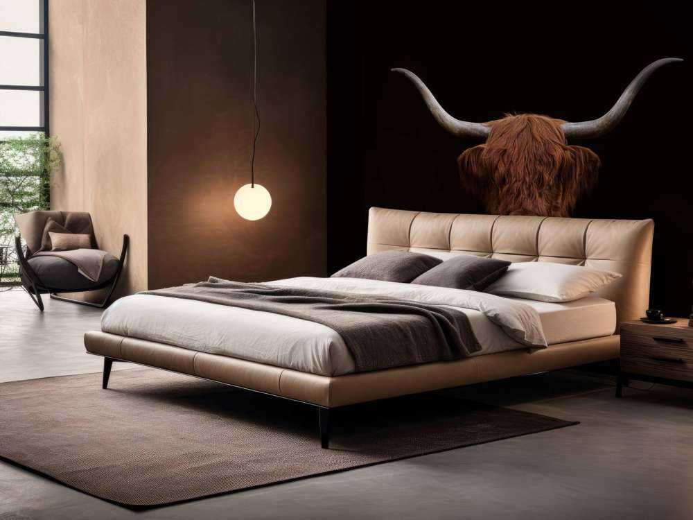 Schotse hooglander op donkere achtergrond