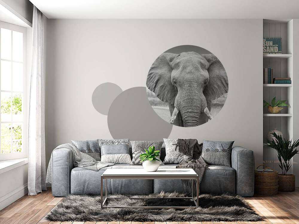 Olifant zwart-wit