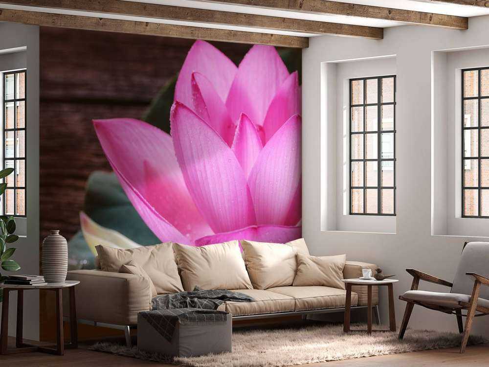 Close-up roze lotus