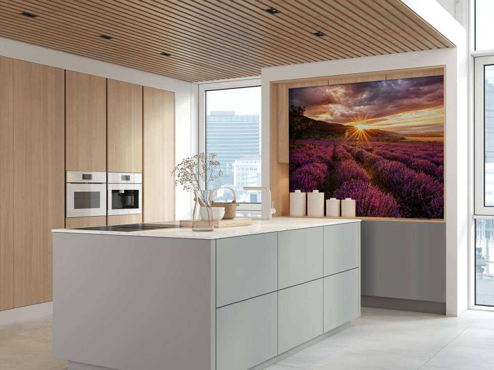 Lavendel onder de zon